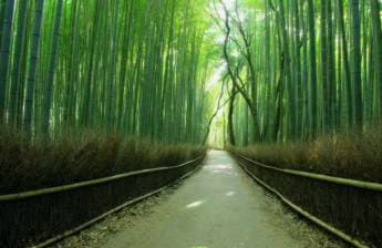 Arashiyama