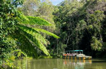 Teleférico Skyrail Rainforest